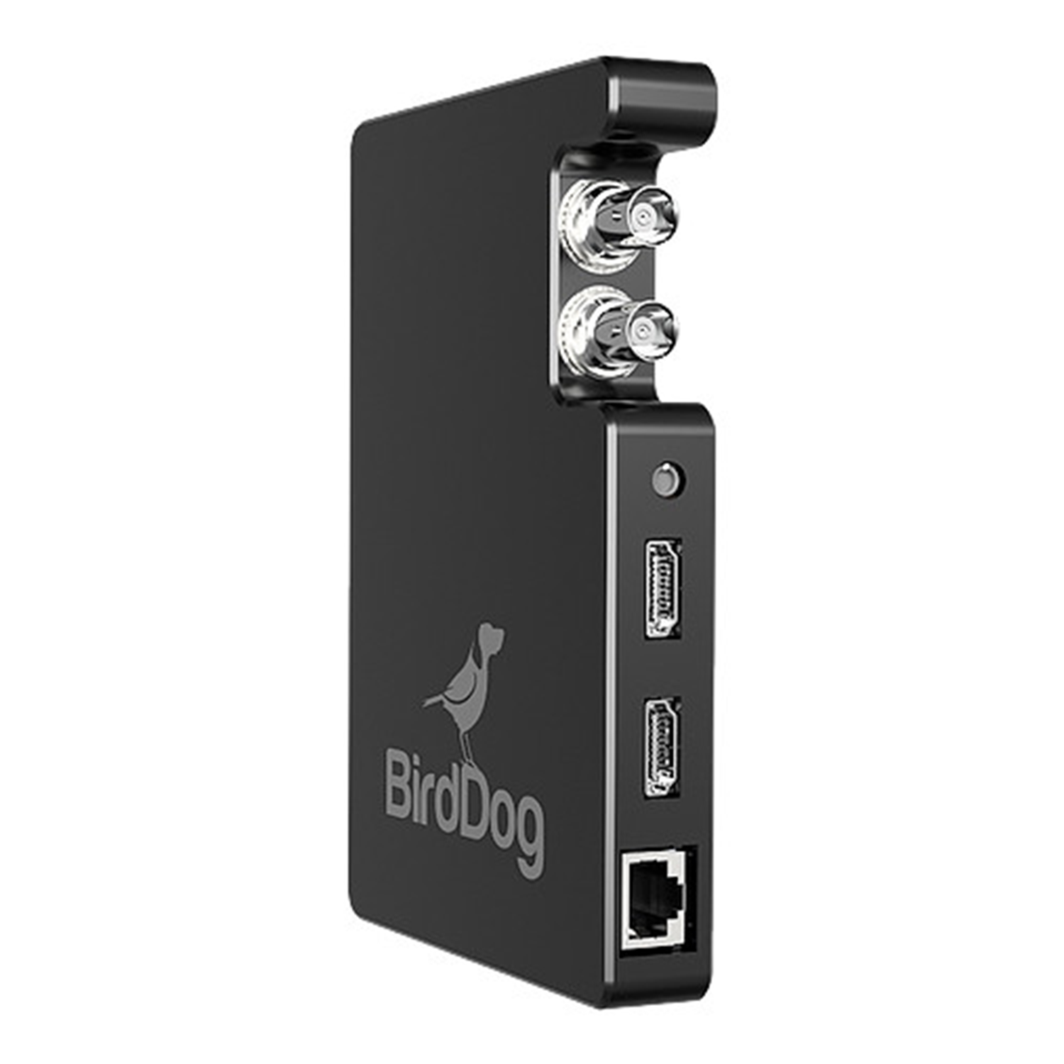 その他 BirdDog STUDIO NDI Studio NDI – BirdDog