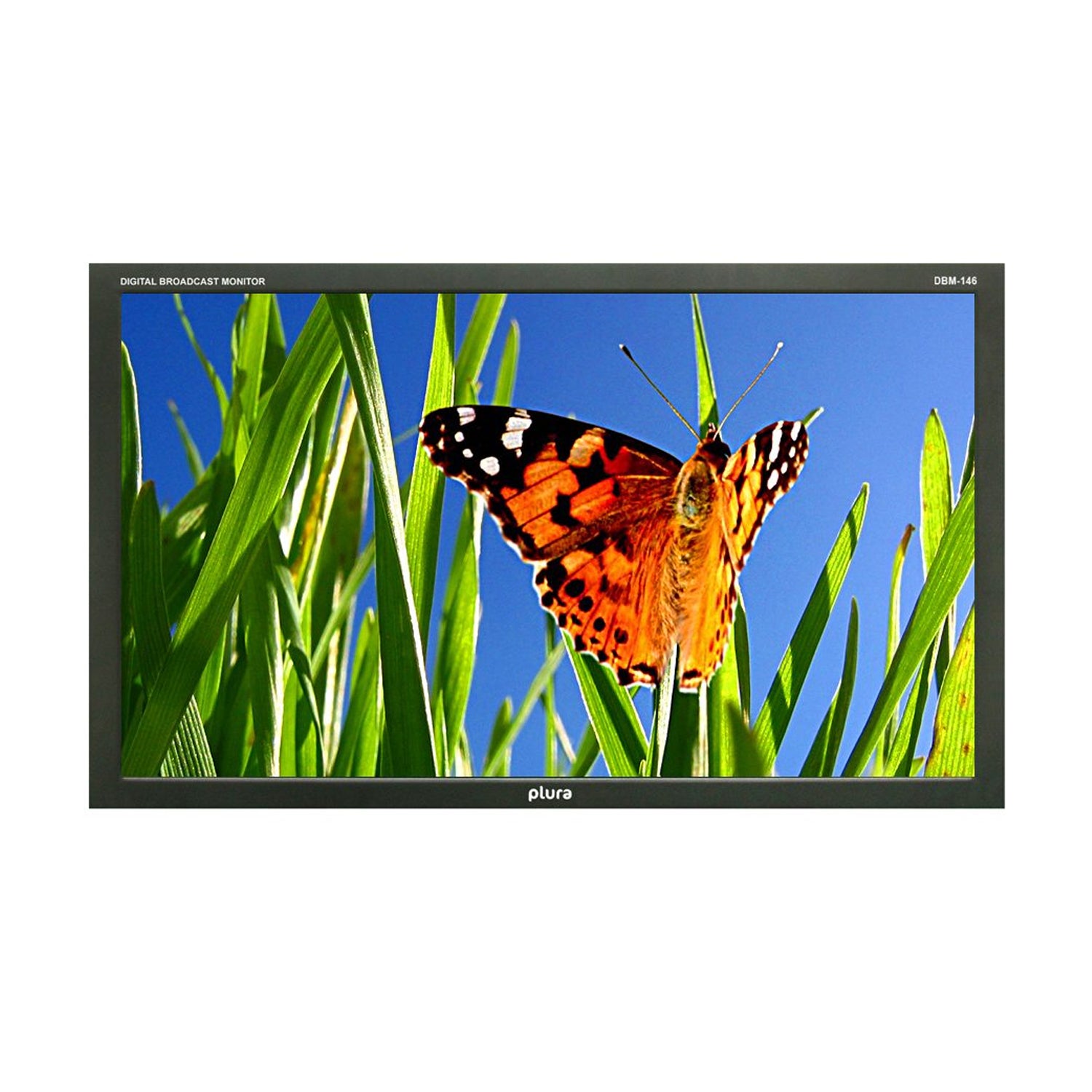 Plura DBM-146 46" Digital Broadcast Monitor