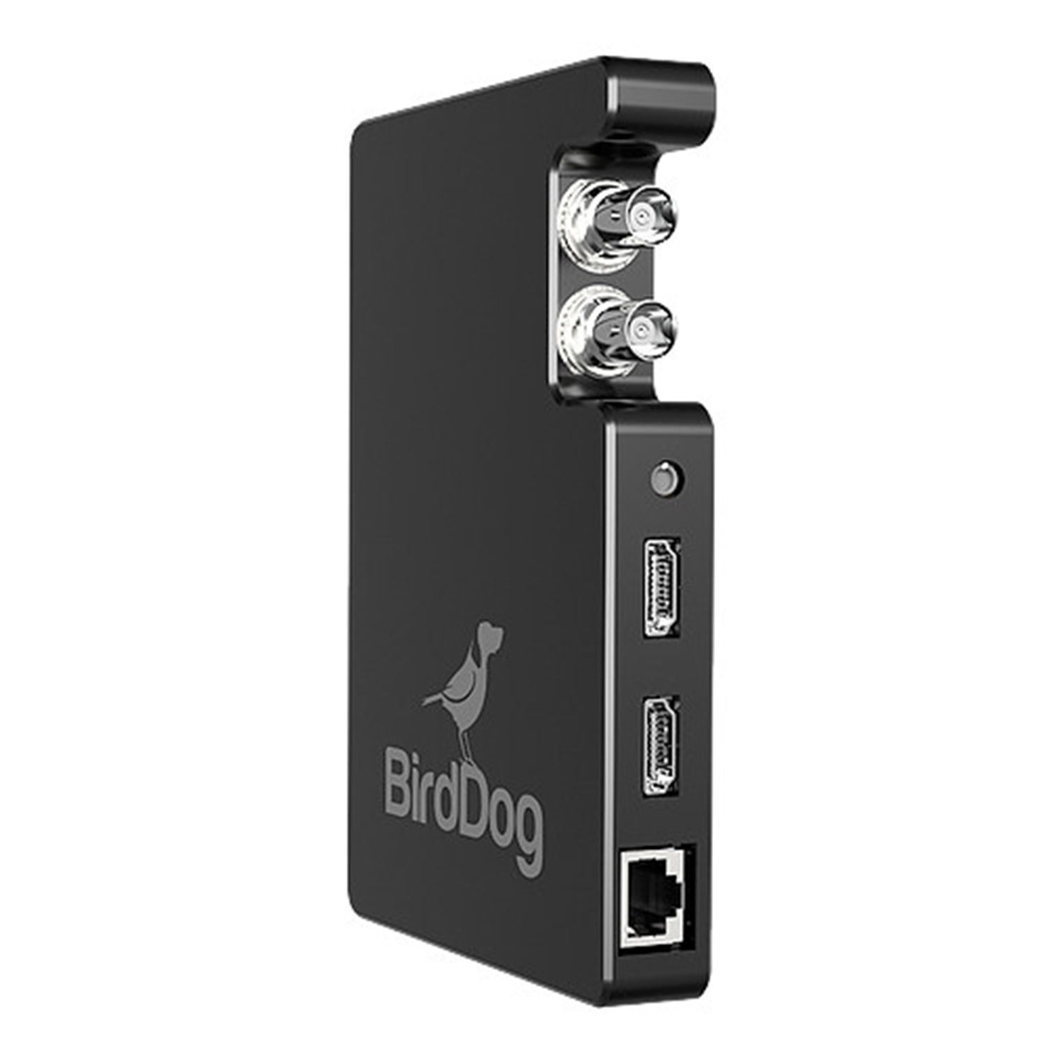 BirdDog Studio NDI SDI/HDMI to NDI Converter